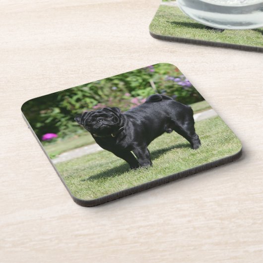 Schwarzer Mops-stehende schauende Kamera Untersetzer (Linke Seite)