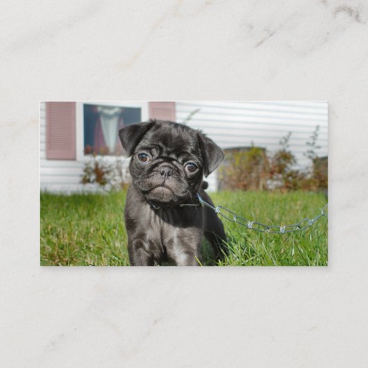 Schwarzer Mops Visitenkarte (Rückseite)