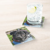 Schwarzer Mops-Welpe, der eine Jacke trägt Glasuntersetzer (Schrägansicht)