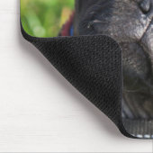 Schwarzer Mops-Welpe, der eine Jacke trägt Mousepad (Ecke)