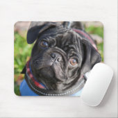 Schwarzer Mops-Welpe, der eine Jacke trägt Mousepad (Mit Mouse)