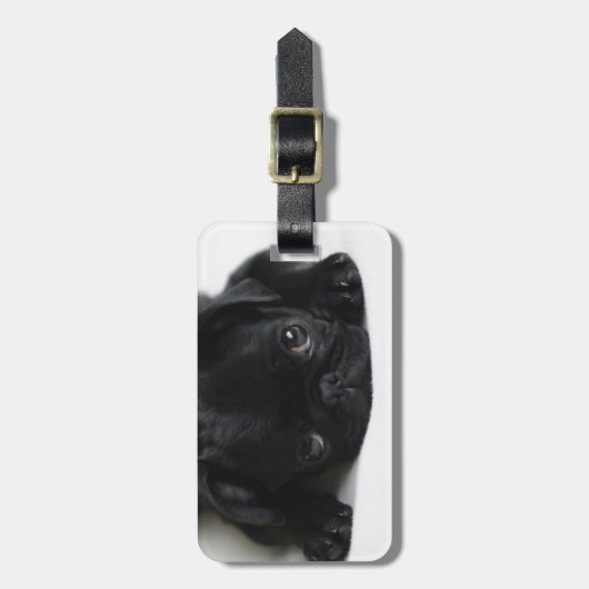 Schwarzer Mops Welpe Gepäckanhänger (Vorderseite vertikal)