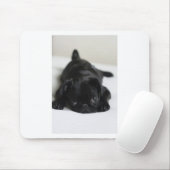 Schwarzer Mops Welpe Mousepad (Mit Mouse)