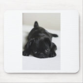 Schwarzer Mops Welpe Mousepad (Vorne)