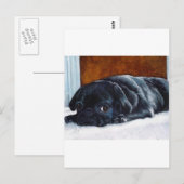 Schwarzer Mops Welpe Postkarte (Vorne/Hinten)