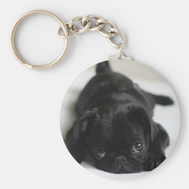 Mops Geschenke Zazzle.de