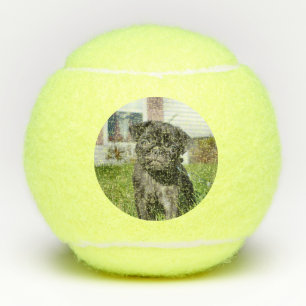 Schwarzer Mops Welpe Tennisbälle
