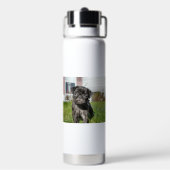 Schwarzer Mops Welpe Trinkflasche (Hinten)