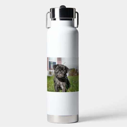 Schwarzer Mops Welpe Trinkflasche (Vorderseite)