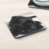 Schwarzer Mops Welpe Untersetzer (Linke Seite)