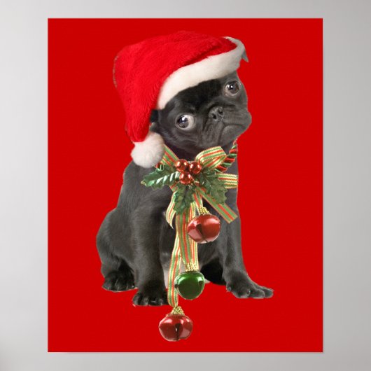 Schwarzer Mops Welpe Weihnachtsportrait Poster (Vorne)