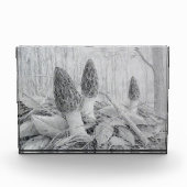 Schwarzer Mushroom-Foto Fotoblock (Vorderseite)