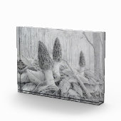 Schwarzer Mushroom-Foto Fotoblock (Rechts)