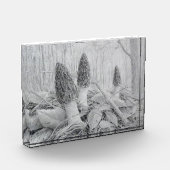 Schwarzer Mushroom-Foto Fotoblock (Links)