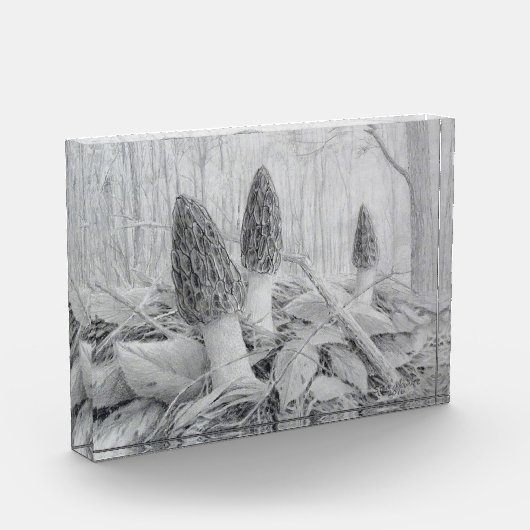 Schwarzer Mushroom-Foto Fotoblock (Links)