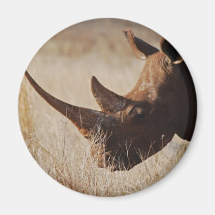 Schwarzer Nashorn mit großen Hörnern Magnet