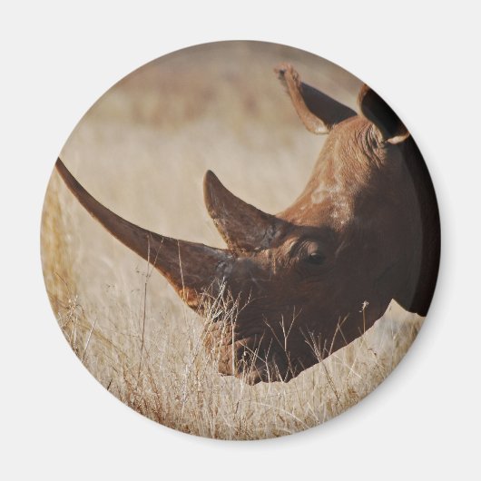 Schwarzer Nashorn mit großen Hörnern Magnet (Vorne)