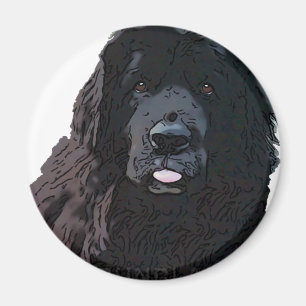 Schwarzer Newf Cartoon Magnet