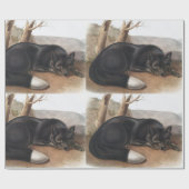 Schwarzer oder Silberfuchs (Vulpes fulvus) Geschenkpapier (Flach)