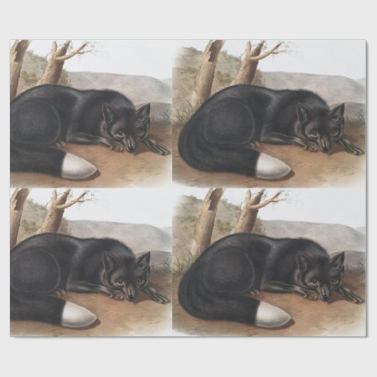 Schwarzer oder Silberfuchs (Vulpes fulvus) Geschenkpapier (Flach)