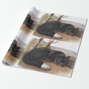 Schwarzer oder Silberfuchs (Vulpes fulvus) Geschenkpapier