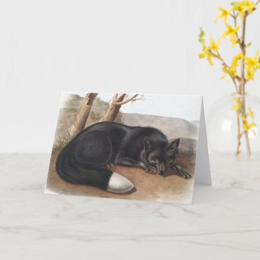 Schwarzer oder Silberfuchs (Vulpes fulvus) Karte (Gelbe Blume)