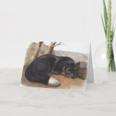 Schwarzer oder Silberfuchs (Vulpes fulvus) Karte (Vorderseite)