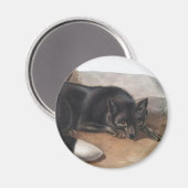Schwarzer oder Silberfuchs (Vulpes fulvus) Magnet (Vorderseite/Rückseite)