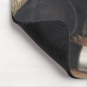 Schwarzer oder Silberfuchs (Vulpes fulvus) Mousepad (Ecke)