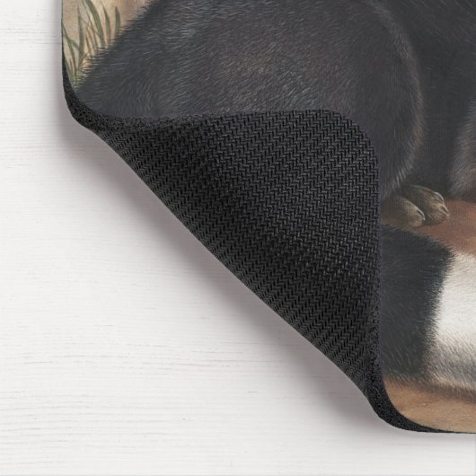 Schwarzer oder Silberfuchs (Vulpes fulvus) Mousepad (Ecke)