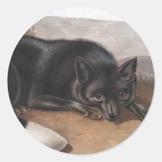Schwarzer oder Silberfuchs (Vulpes fulvus) Runder Aufkleber (Vorderseite)