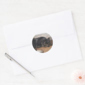 Schwarzer oder Silberfuchs (Vulpes fulvus) Runder Aufkleber (Umschlag)