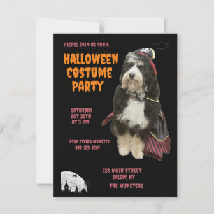 Schwarzer & Oranger Hund im Piratenkostüm-Party Postkarte