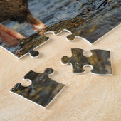 Schwarzer Oystercatcher am Arbeitsplatz Puzzle (Seite)