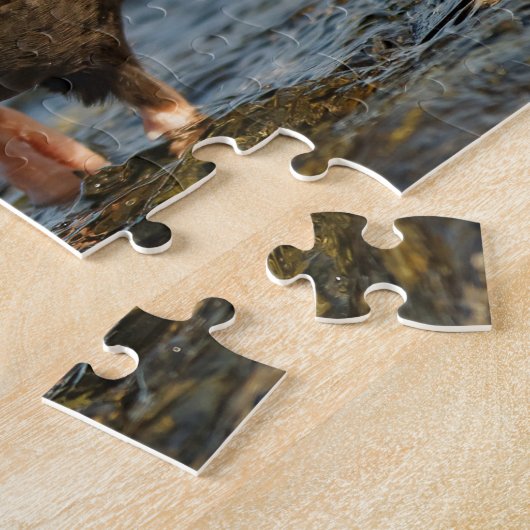 Schwarzer Oystercatcher am Arbeitsplatz Puzzle (Seite)