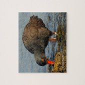 Schwarzer Oystercatcher am Arbeitsplatz Puzzle (Vertikal)