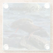 Schwarzer Oystercatcher Glasuntersetzer (Rückseite)