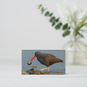 Schwarzer Oystercatcher mit Clam Visitenkarte (Stehend Vorderseite)