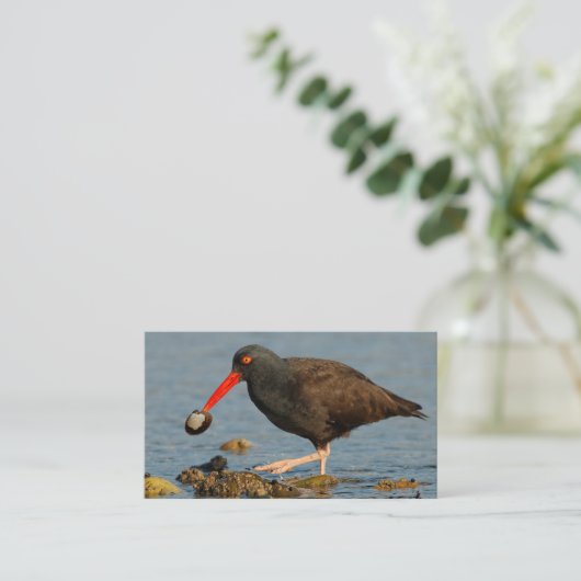 Schwarzer Oystercatcher mit Clam Visitenkarte (Stehend Vorderseite)