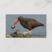 Schwarzer Oystercatcher mit Clam Visitenkarte (Vorderseite)