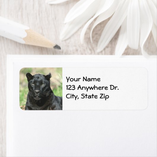 Schwarzer Panther (Insitu)