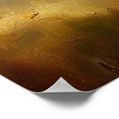 Schwarzer Panther (2) Wildkatze Poster (Ecke)