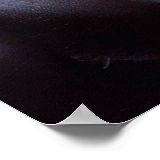 Schwarzer Panther (3) Wildkatze Poster (Ecke)