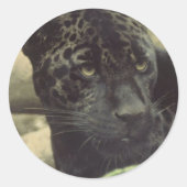 Schwarzer Panther-Aufkleber Runder Aufkleber (Vorderseite)