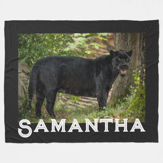 Schwarzer Panther Fleecedecke (Vorderseite (Horizontal))
