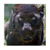 Schwarzer Panther Fliese (Vorderseite)