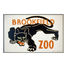 Schwarzer Panther im Brookfield Zoo WPA