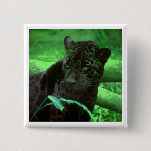Schwarzer Panther Jaquar auf Grün Button (Vorderseite)