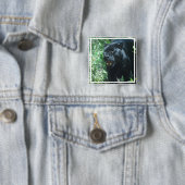Schwarzer Panther-Katzen- Knopf Button (Beispiel)