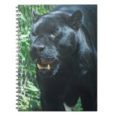 Schwarzer Panther-Katzen-Notizbuch Notizblock (Vorderseite)